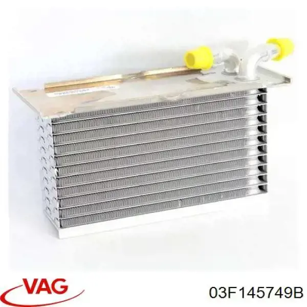 Купити 03F145749B VAG Радіатор масляний
