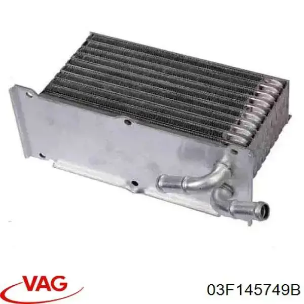 Радіатор масляний 03F145749B VAG