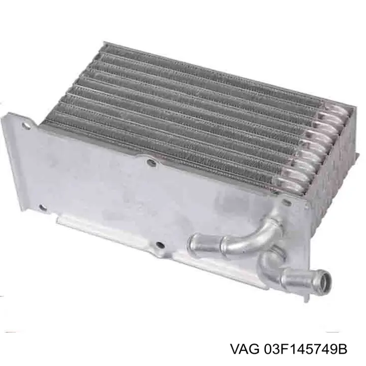 Купити 03F145749B VAG Радіатор масляний