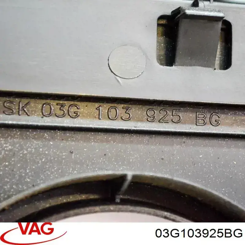 Кришка двигуна декоративна VAG 03G103925BG