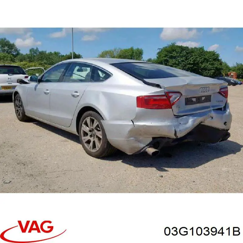  03G103941B VAG