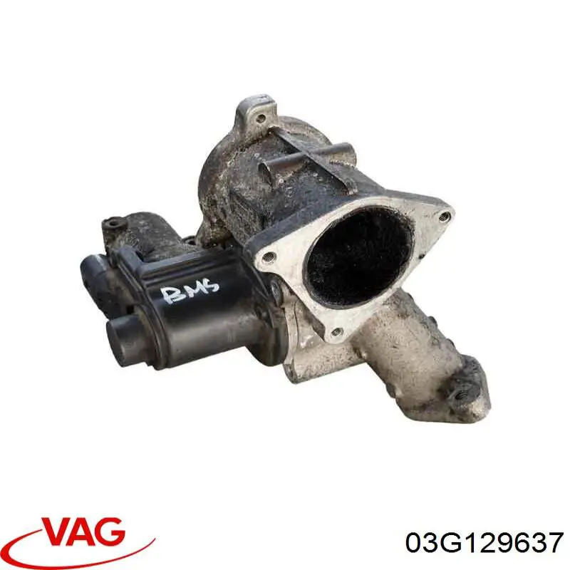 03G129637 VAG 