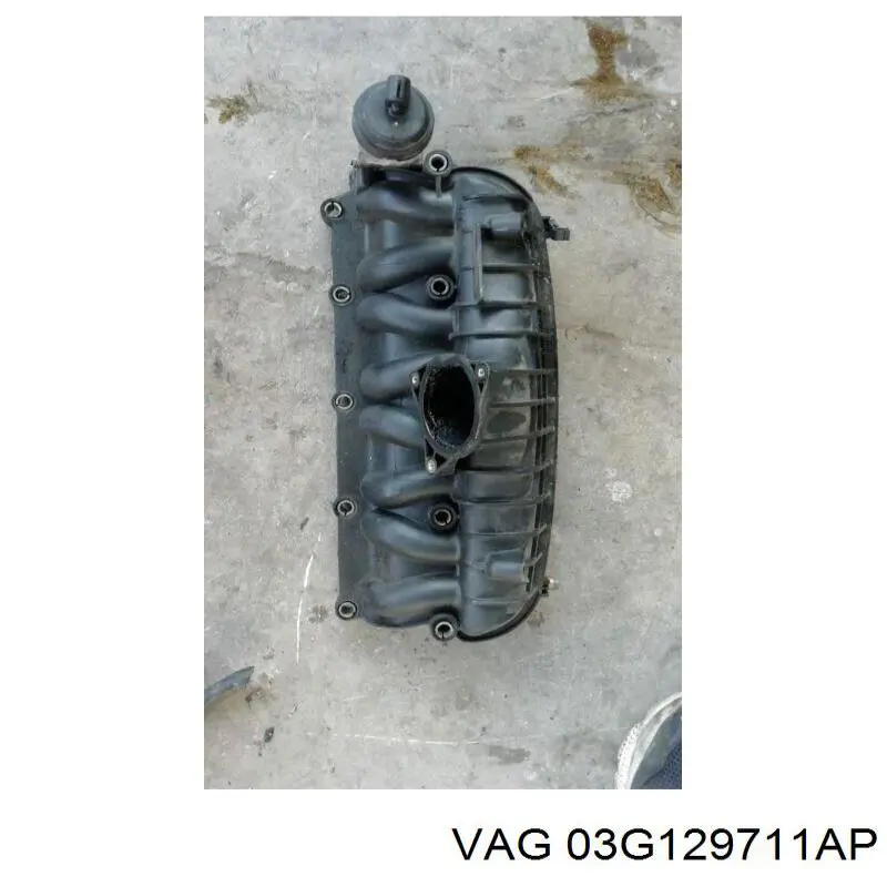 Колектор впускний VAG 03G129711AP