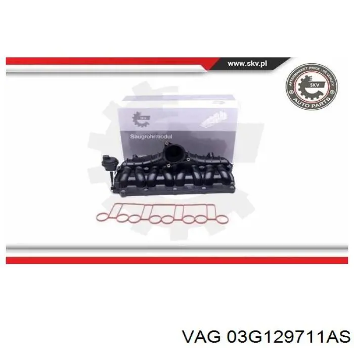 03G129711AS VAG Колектор впускний