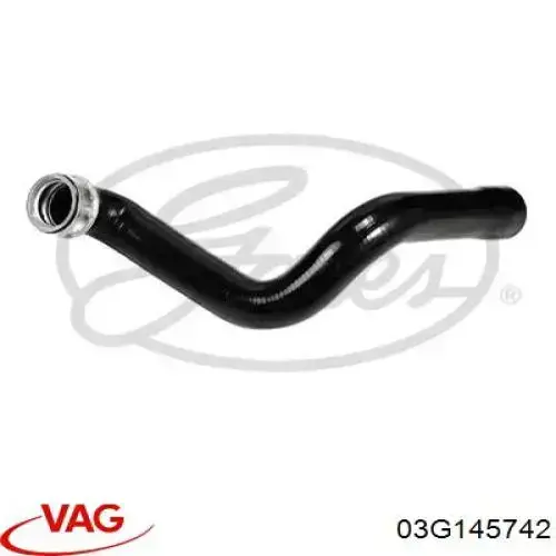  03G145742 VAG