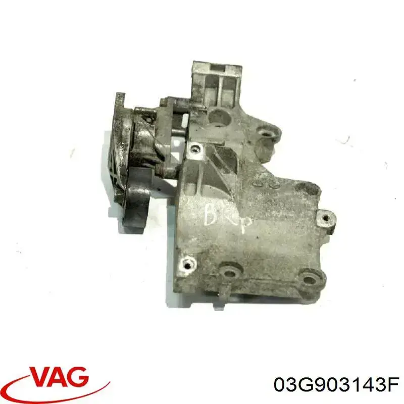Купити 03G903143F VAG 