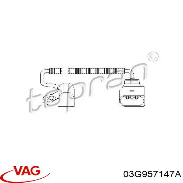 Датчик распредвалу 03G957147A VAG