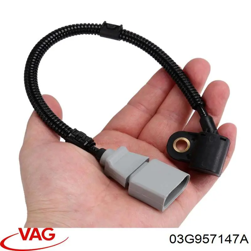 03G957147A VAG Датчик розподільного вала