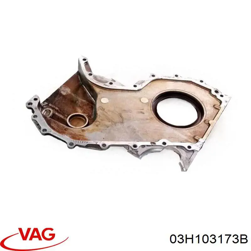 022103173F VAG 