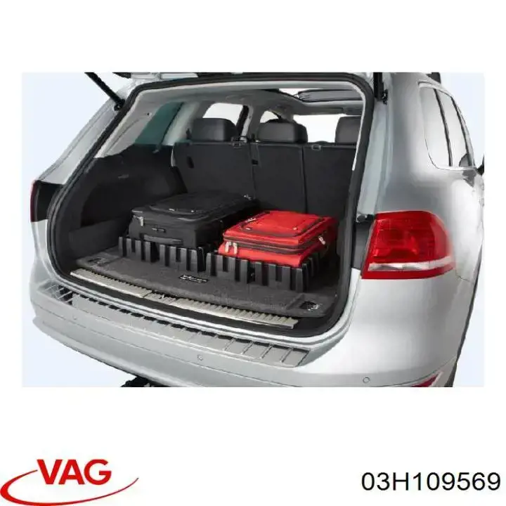 Купити 03H109569 VAG Зірка колінчастого вала