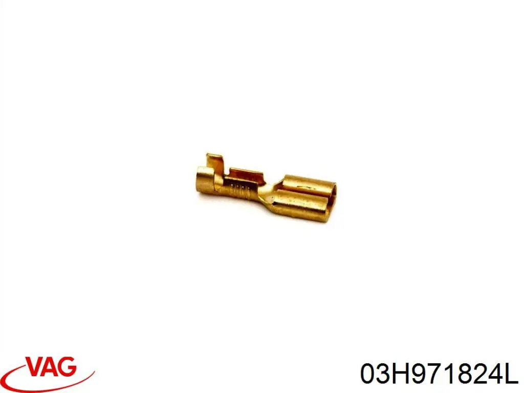 Купити 03H971824L VAG 