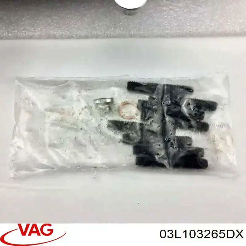 Купити 03L103265DX VAG Головка блоку