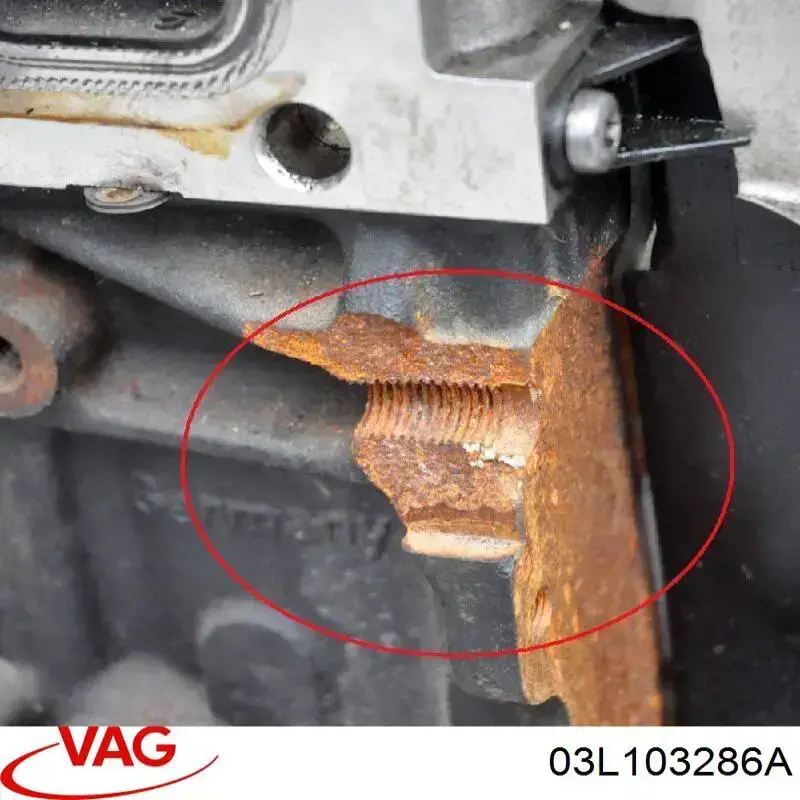 Купити 03L103286A VAG Головка блоку