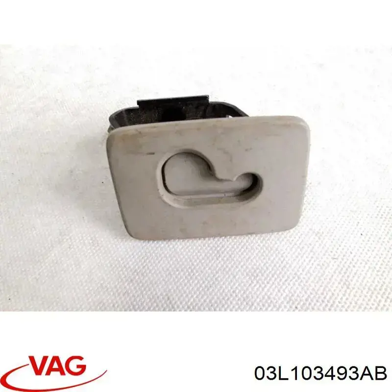  VAG 03L103493AB