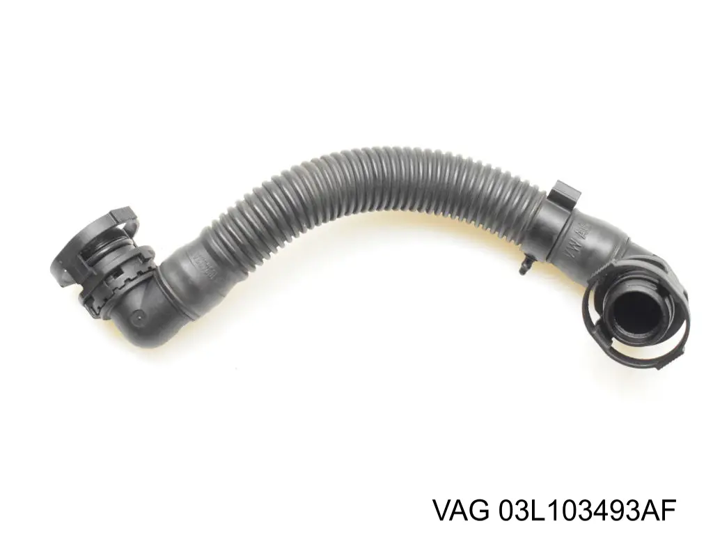  03L103493L VAG