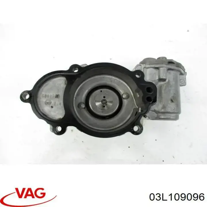 03L109096 VAG 