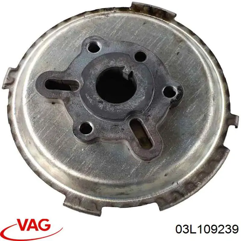 03L109239 VAG 