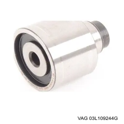 Ролик ременя ГРМ, паразитний VAG 03L109244G ціна, від 14.22 USD
