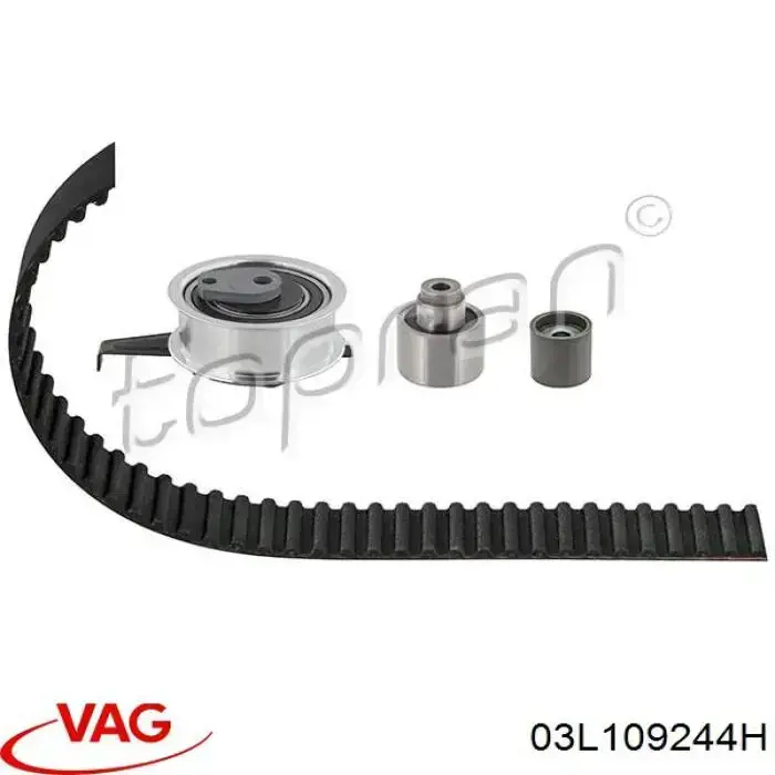 Ролик ременя ГРМ, паразитний VAG 03L109244H