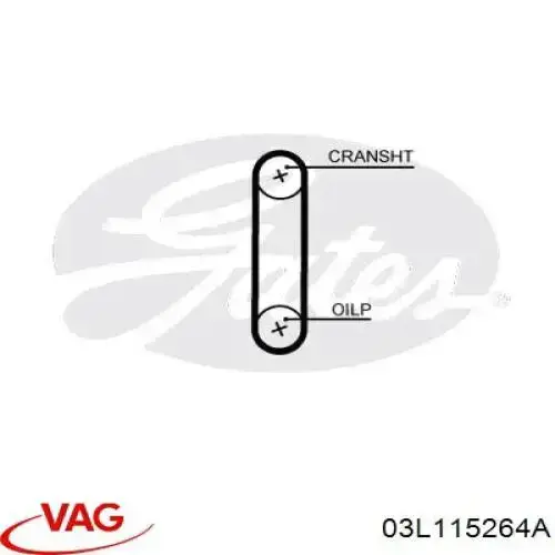 03L115264 VAG Ремінь маслонасоса