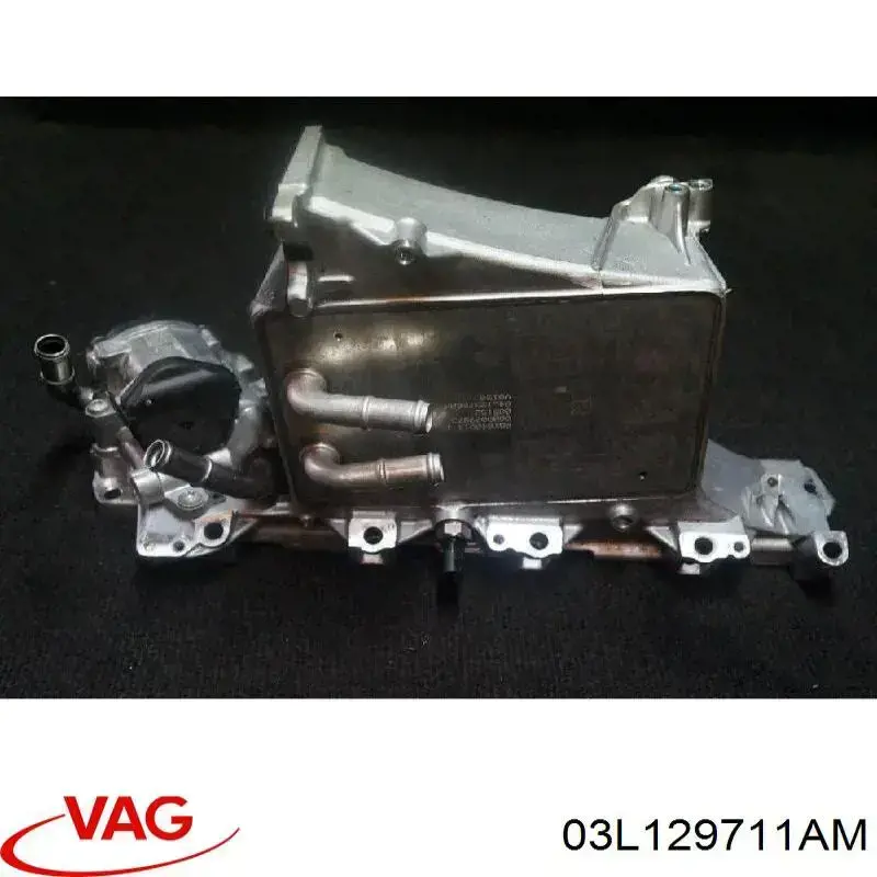 Купити 03L129711AM VAG Впускний колектор