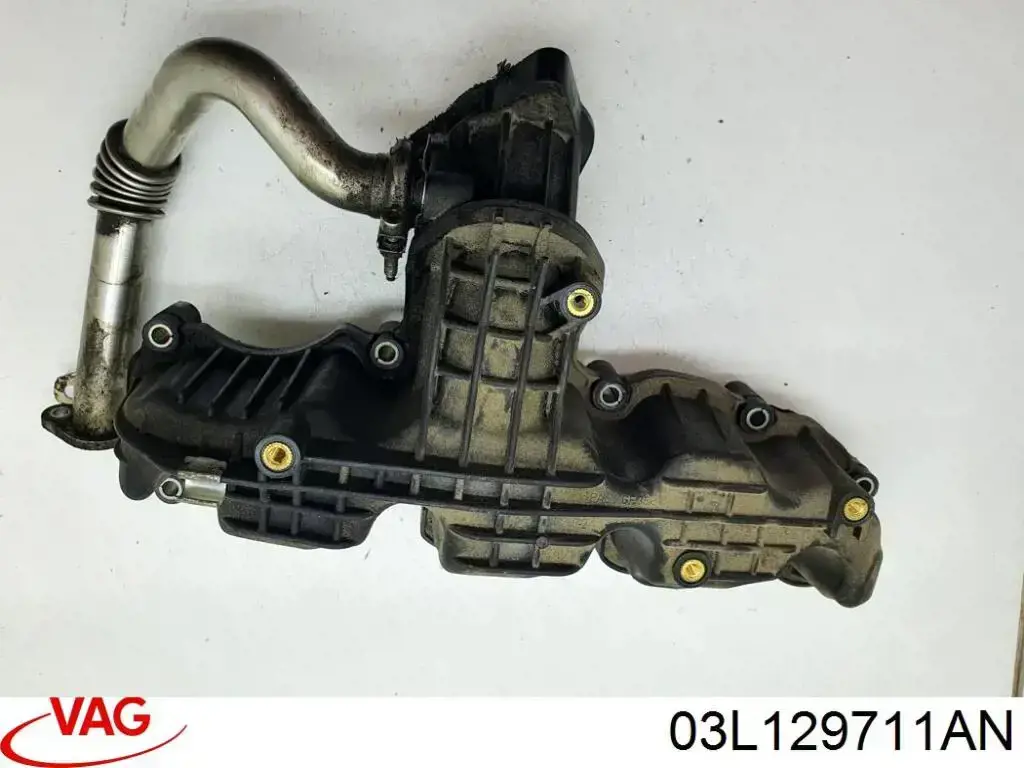Купити 03L129711AN VAG Впускний колектор