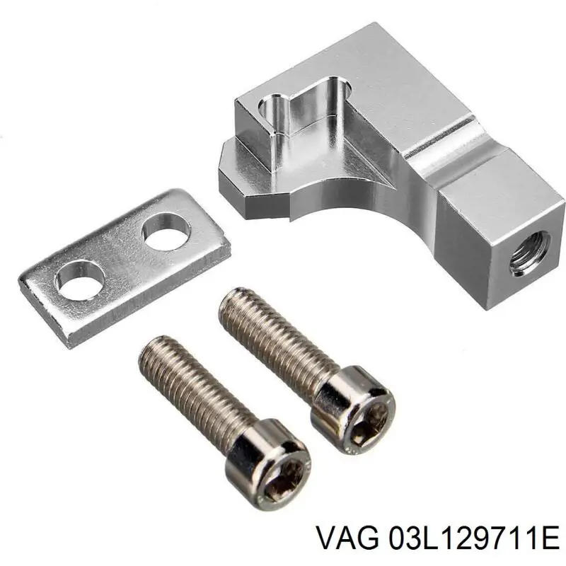 Колектор впускний VAG 03L129711E