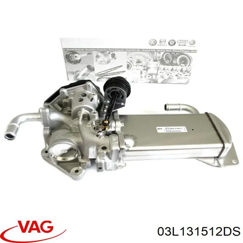 Радіатор системи EGR рециркуляції вихлопних газів VAG 03L131512DS ціна, від 235.22 USD