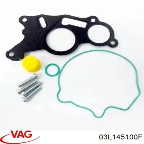 Вакуумний насос 03L145100F VAG
