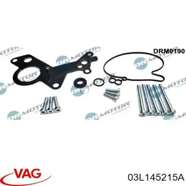 Купити Прокладка вакуумного насосу Volkswagen Passat B5 3B2