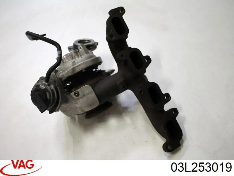 03L253019 VAG 