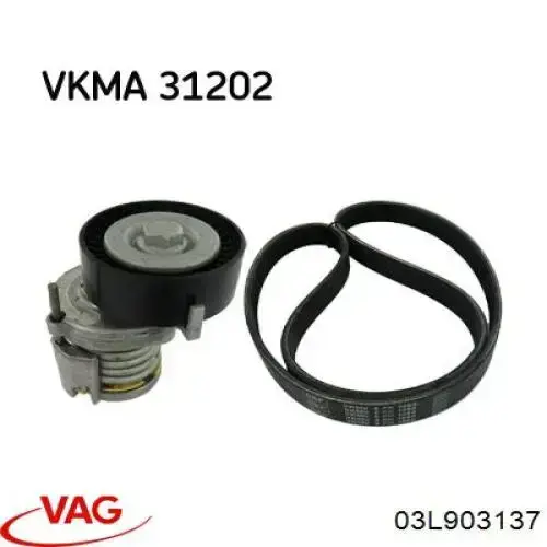 Купити 03L903137 VAG Ремінь генератора