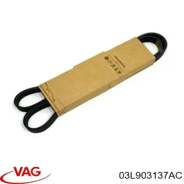 Клиновий ремінь VAG 03L903137AC ціна, від 14.05 USD