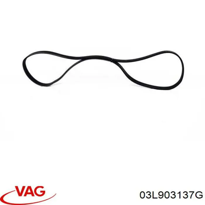 Клиновий ремінь VAG 03L903137G ціна, від 10.62 USD