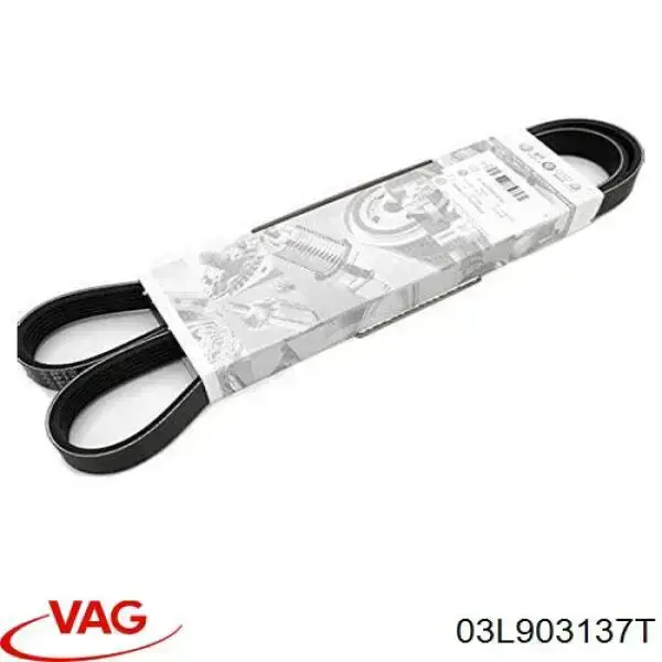 Купити 03L903137T VAG Ремінь генератора