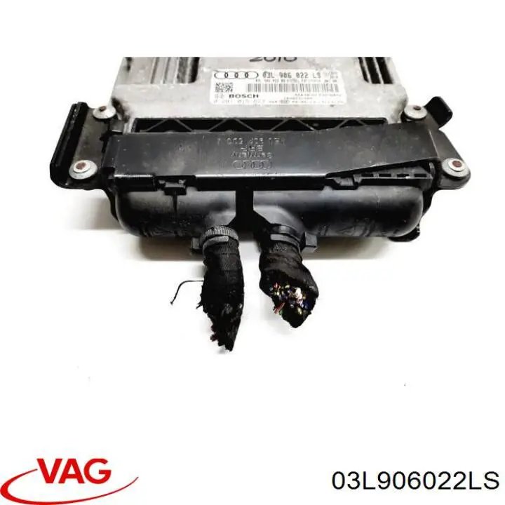 03L906022LS VAG Блок електронного управління