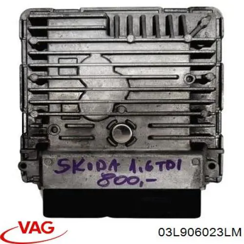 Купити 03L906023LM VAG Модуль управління двигуном