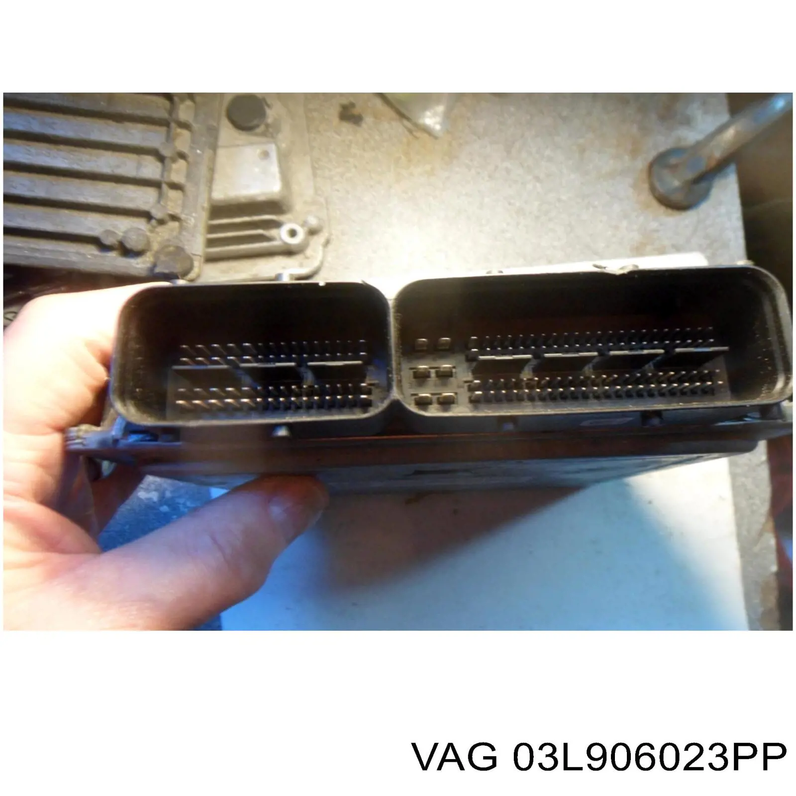 03L906023PP VAG Блок електронного управління