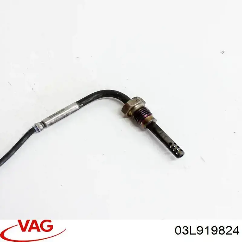 Купити 03L919824 VAG 