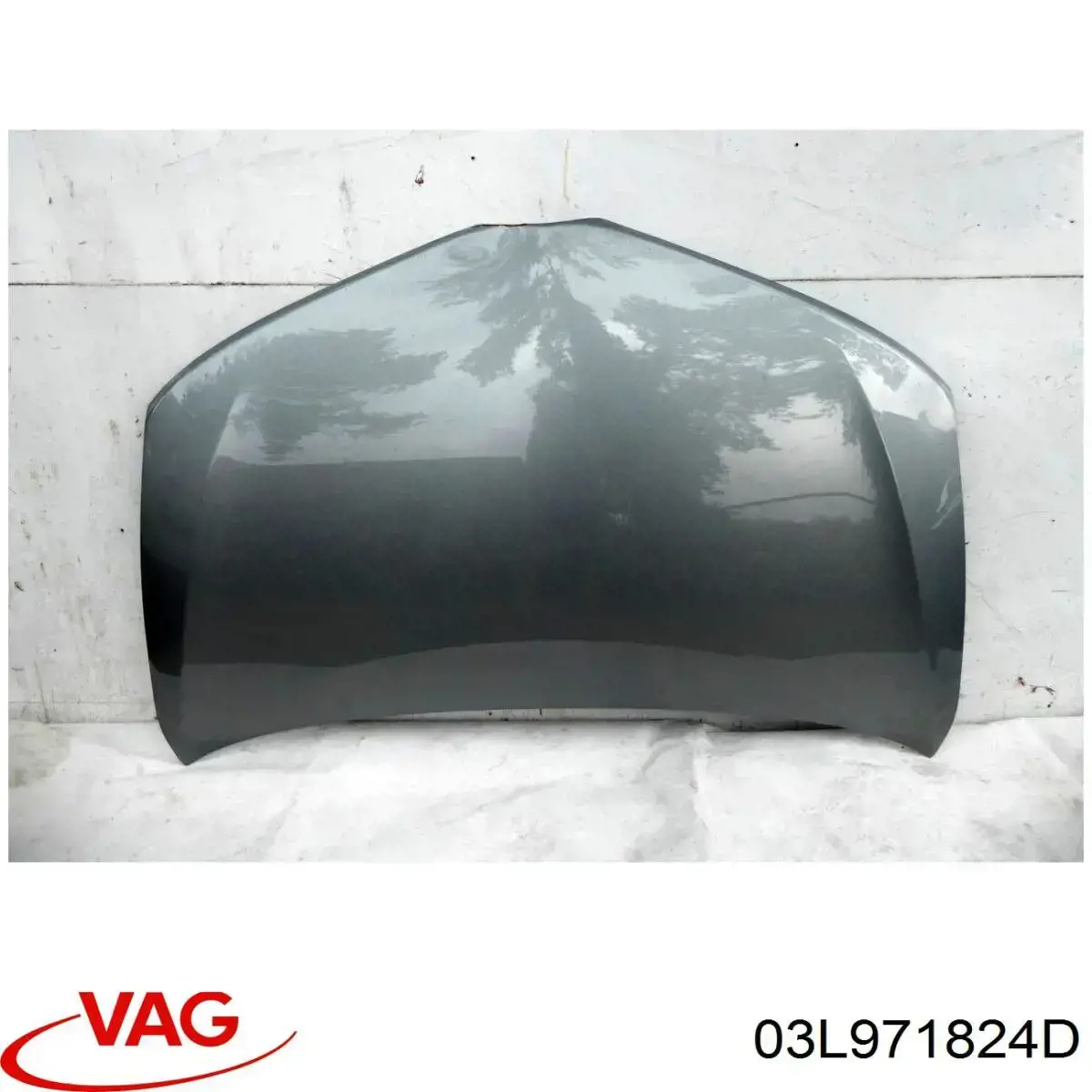  03L971824D VAG