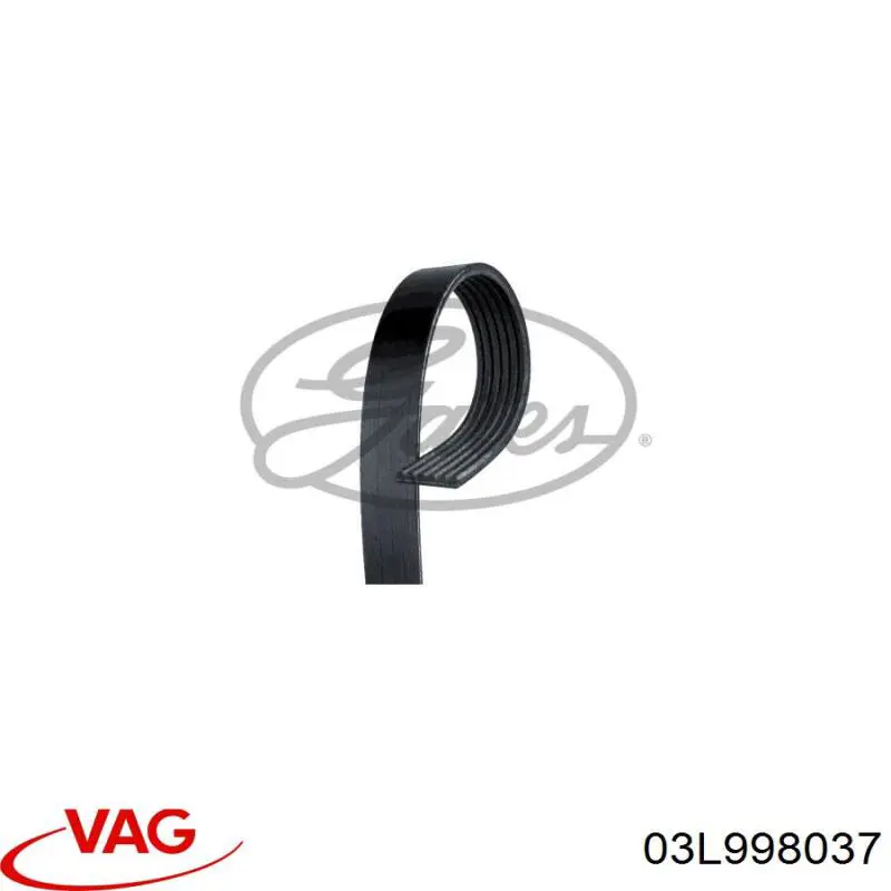 Купити 03L998037 VAG Ремінь генератора