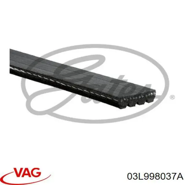 Клиновий ремінь VAG 03L998037A ціна, від 7.97 USD