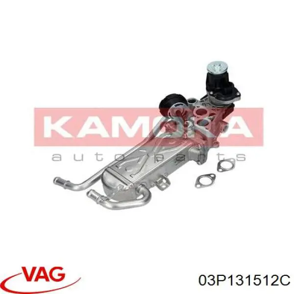Радіатор системи EGR рециркуляції вихлопних газів 03P131512C VAG