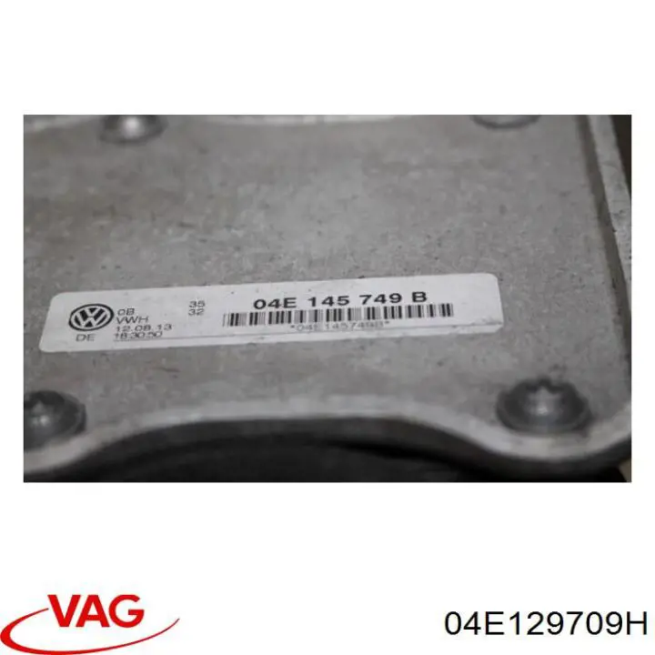 Впускний колектор 04E129709H VAG