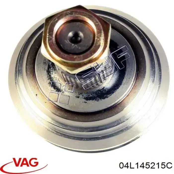 Купити 04L145215C VAG 