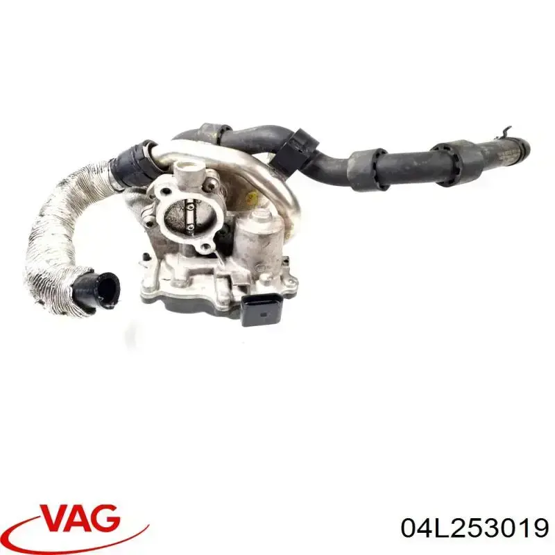 04L253019 VAG 