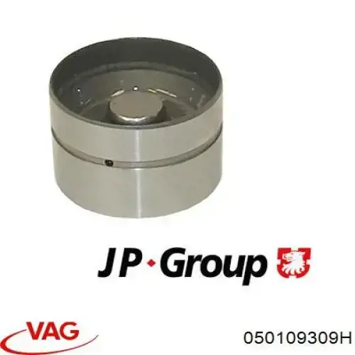 Гидроштовхач VAG 050109309H