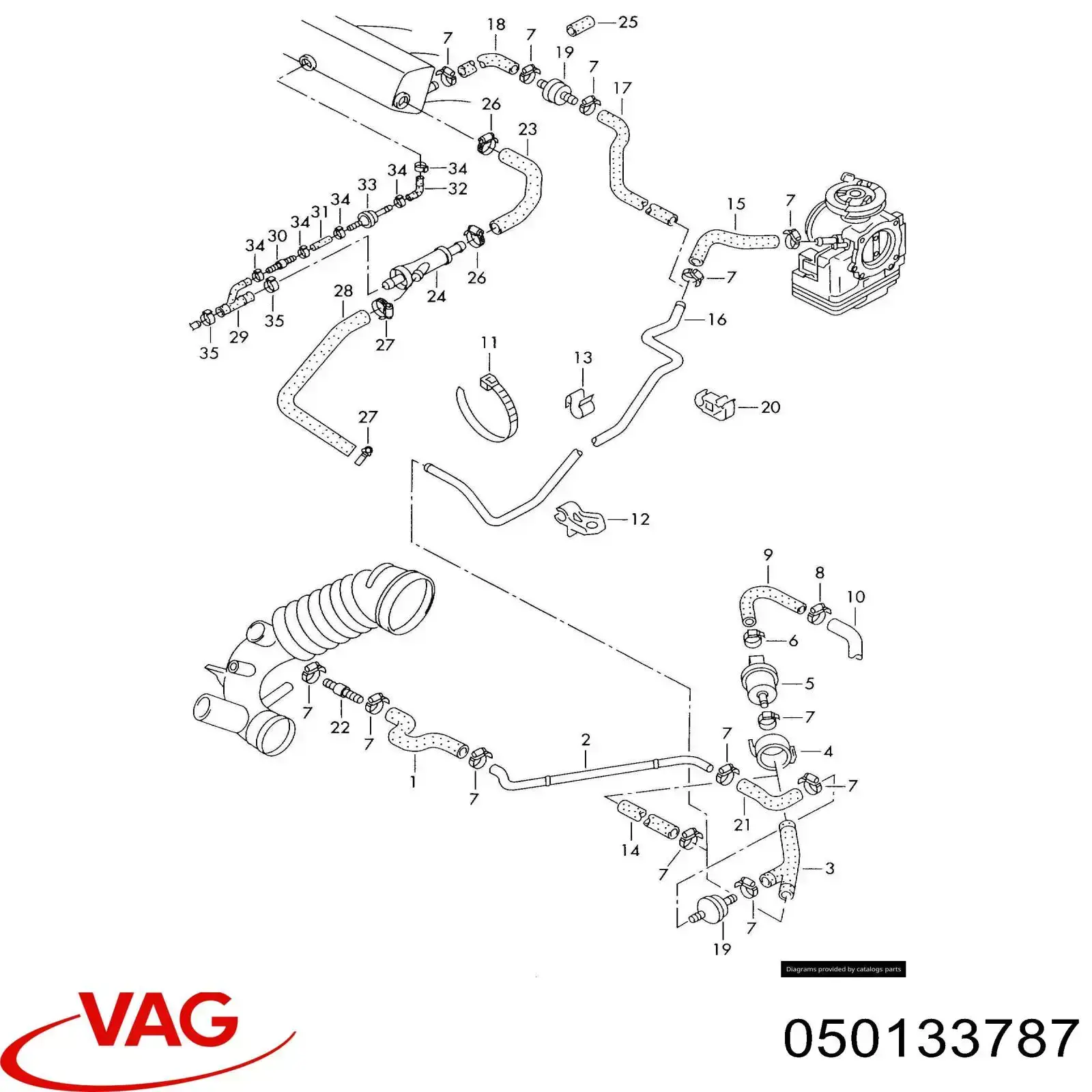 050133787 VAG 
