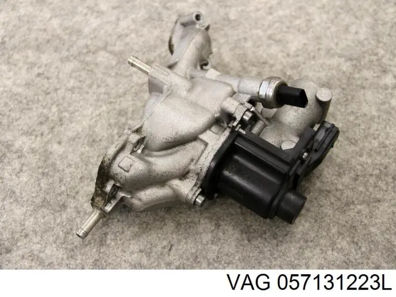 057131223L VAG 