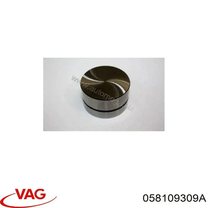 Гидроштовхач VAG 058109309A